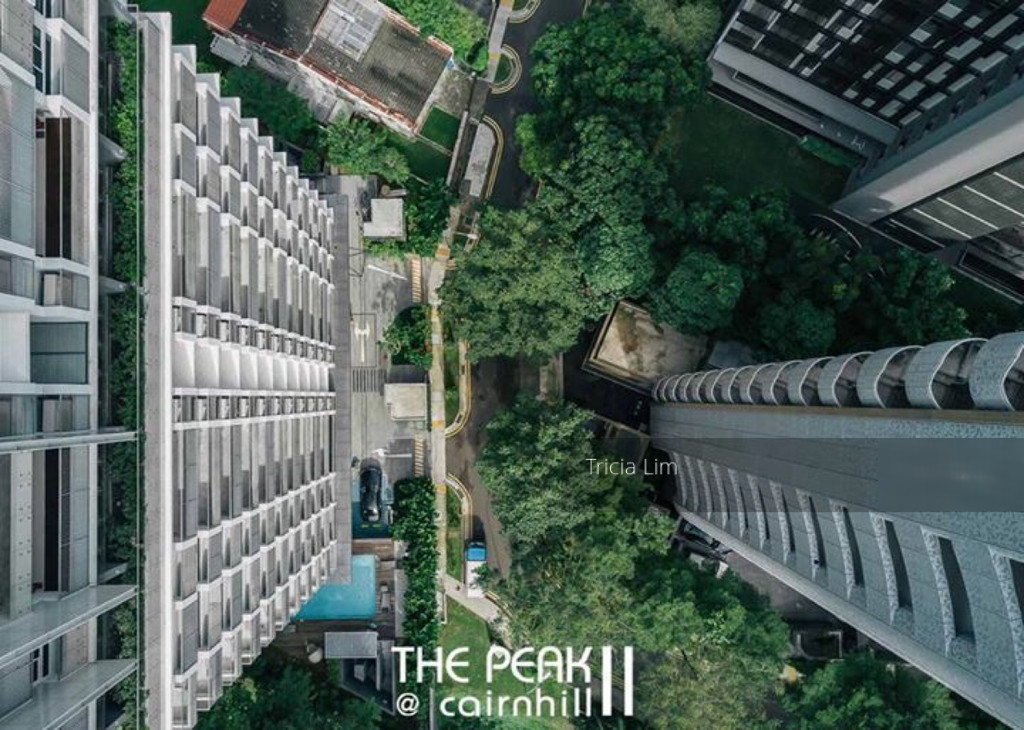 The Peak @ Cairnhill II (D9), Apartment #143002272